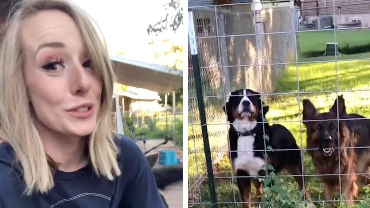 La sua mamma torna a casa con un nuovo taglio di capelli, Brue non la riconosce