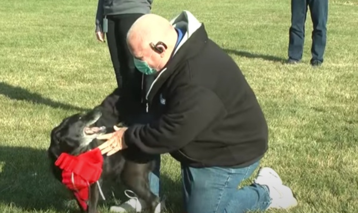 Il ritrovamento di Lola