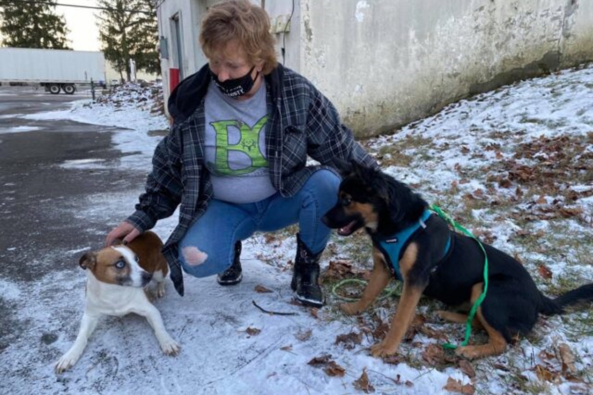 La storia della cagnolina Maybelle