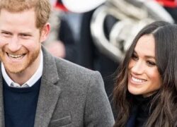 Meghan Markle Harry oggi