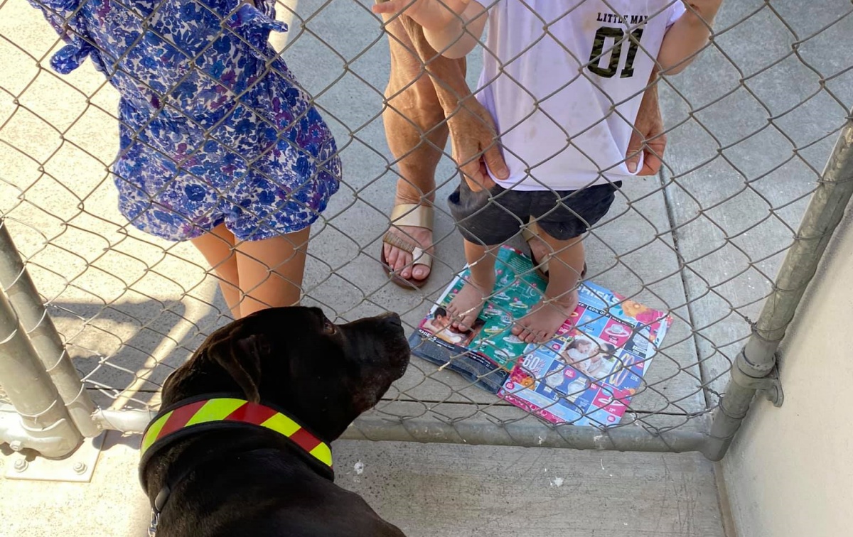 La famiglia di Sarge ha perso la causa