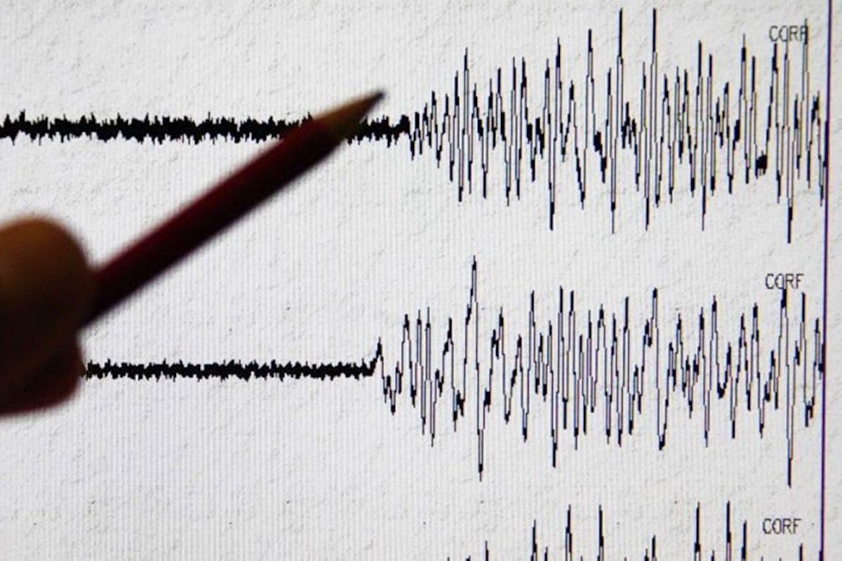 grafico scosse sismiche terremoto