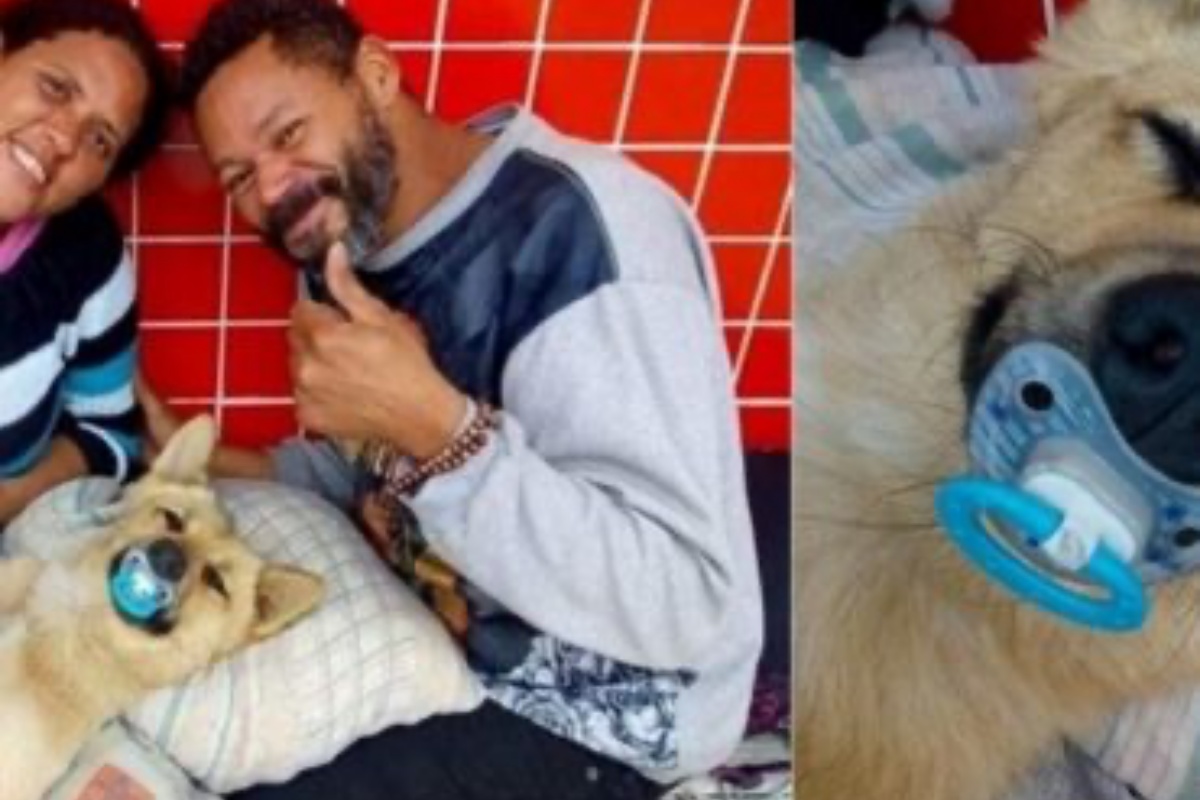 Fotografa pubblica le foto di un cane con un ciuccio, che vive con i suoi amici umani senzatetto