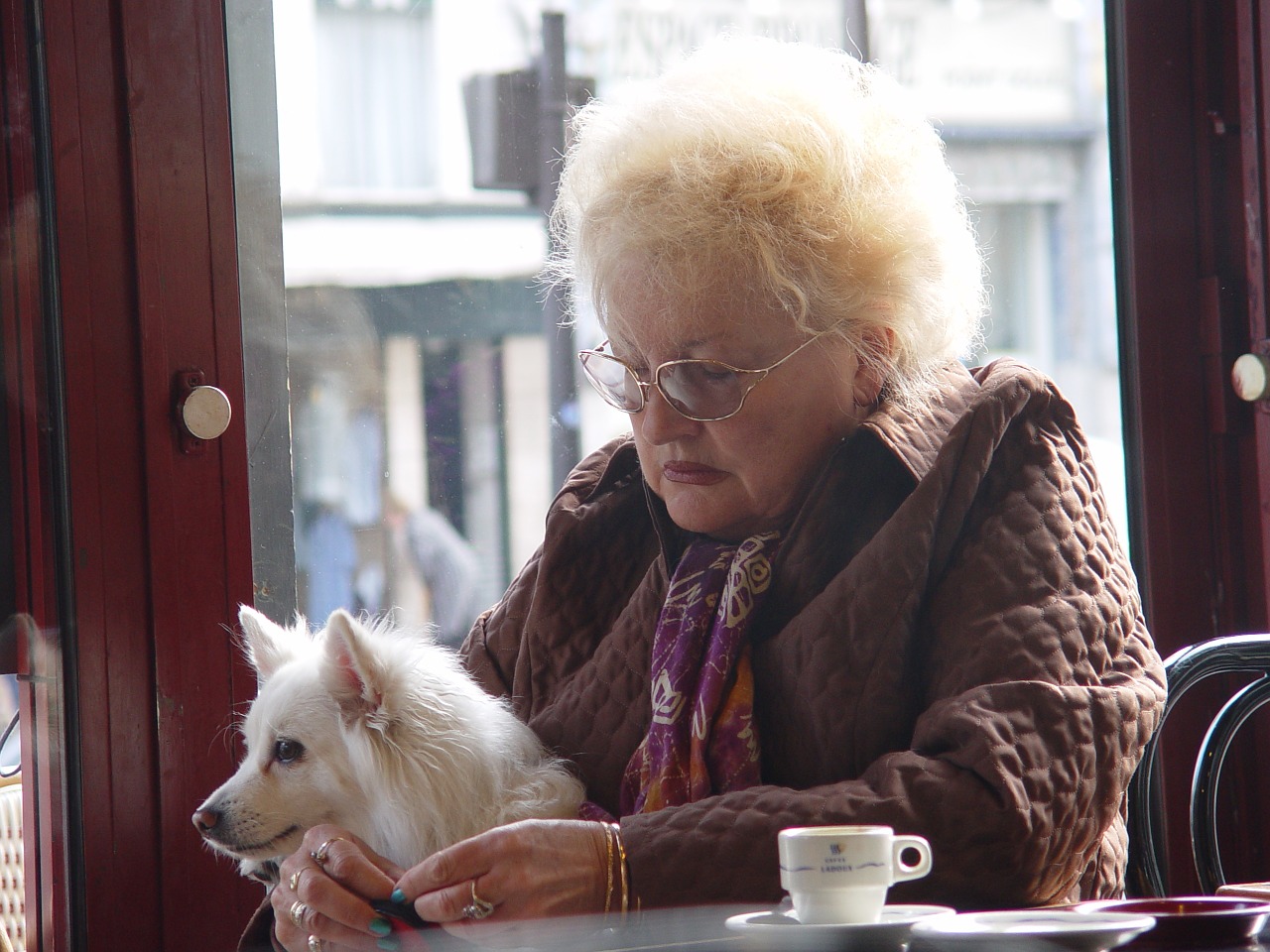 Cane protegge la proprietaria