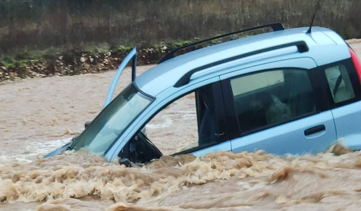 Finisce dentro l’acqua, donna si salva: cani intrappolati in auto