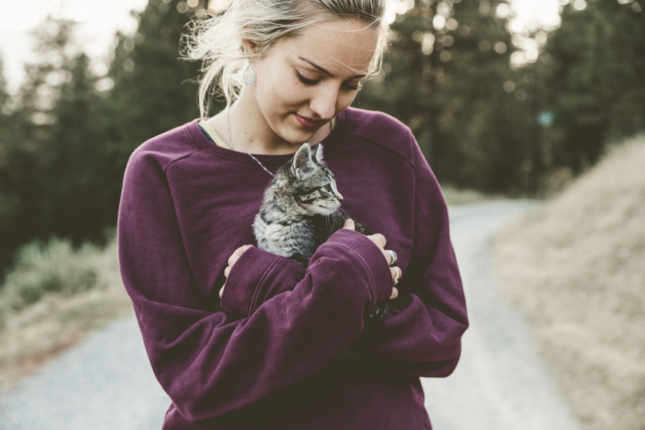 Come accarezzare un gatto senza dargli fastidio: tutti i consigli