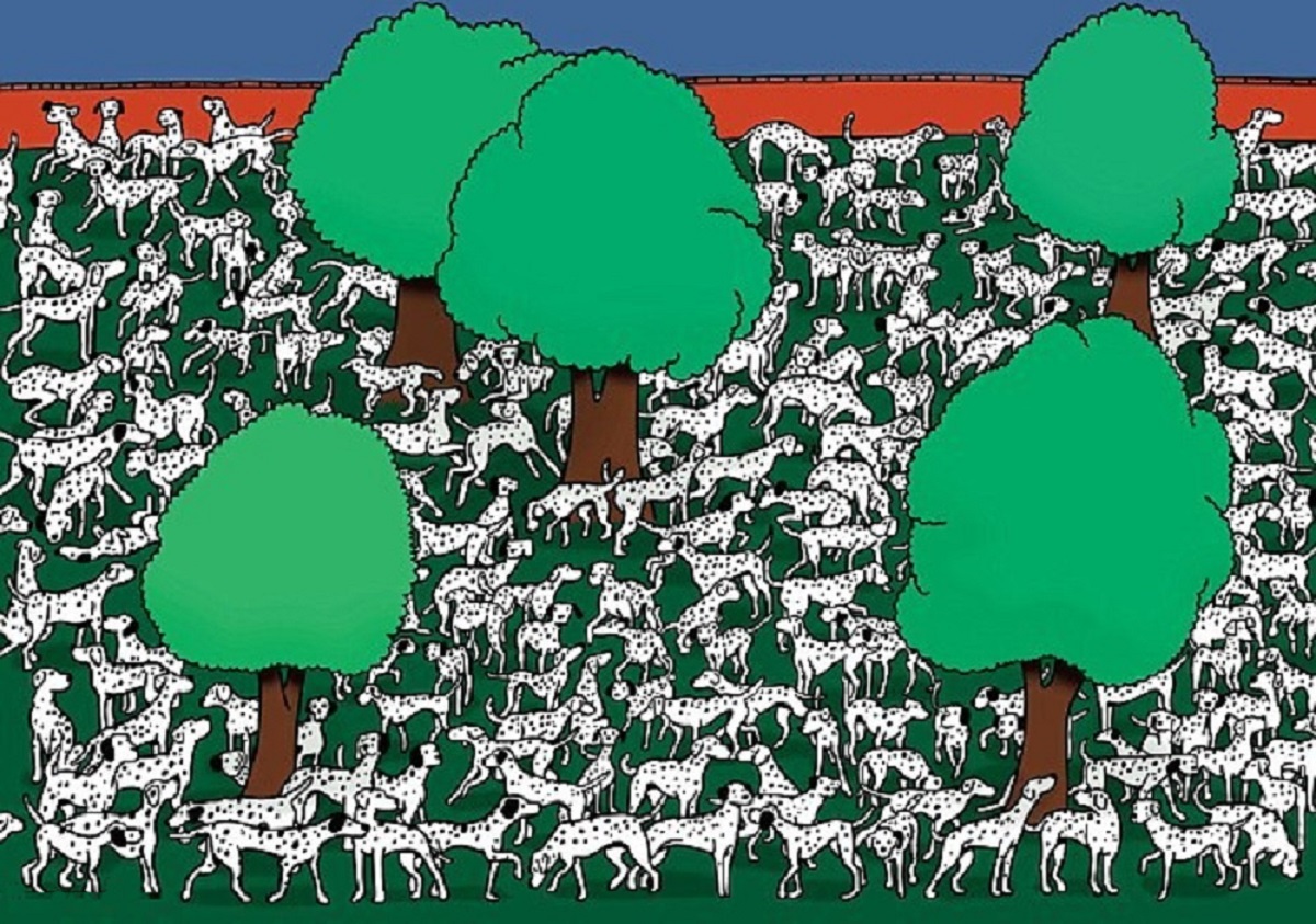 Nel disegno c’è un dalmata senza macchie, riesci a trovarlo?