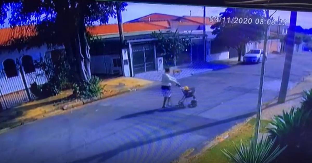 Donna abbandona 6 cuccioli in strada e se ne va ma un video la incastra: la storia
