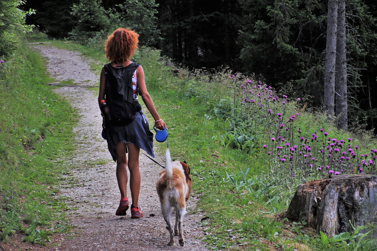 Strangolata dai guinzagli dei cani