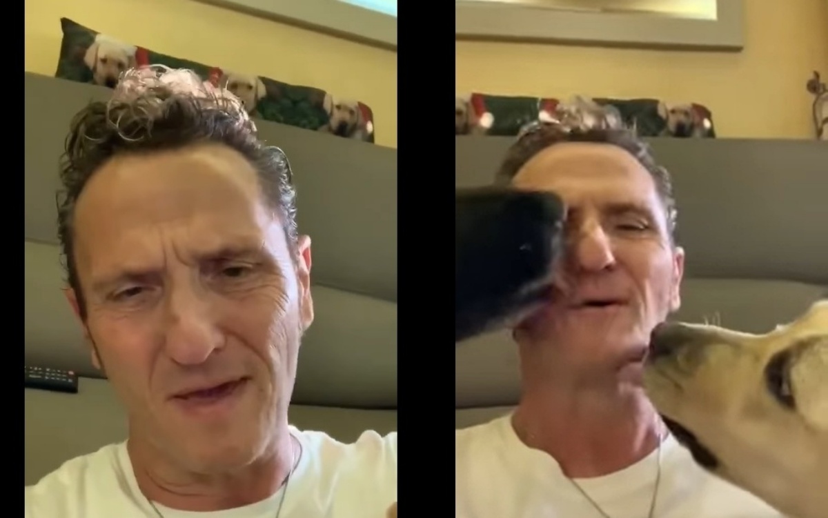 (VIDEO) Enzo Salvi pubblica un appello per gli animali: “Quest’anno risparmiate i soldi per i botti e comprate…”