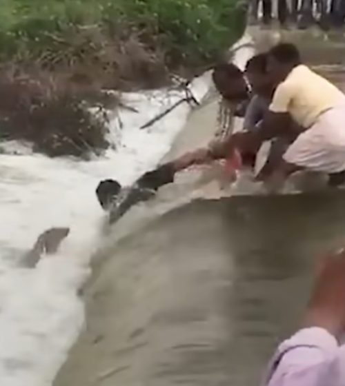 Ragazzi aiutano il cucciolo in acqua