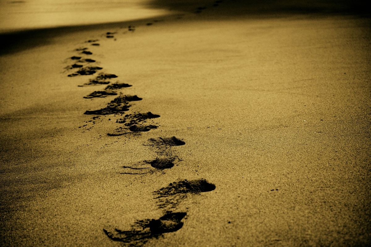 Trovato un feto sulla spiaggia di Imperia