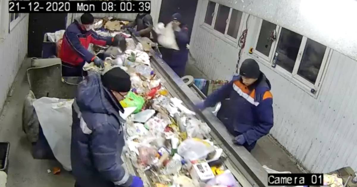 Un operaio del centro smistamento rifiuti nota un sacco che si muoveva sul nastro trasportatore: era un gatto gettato nella spazzatura
