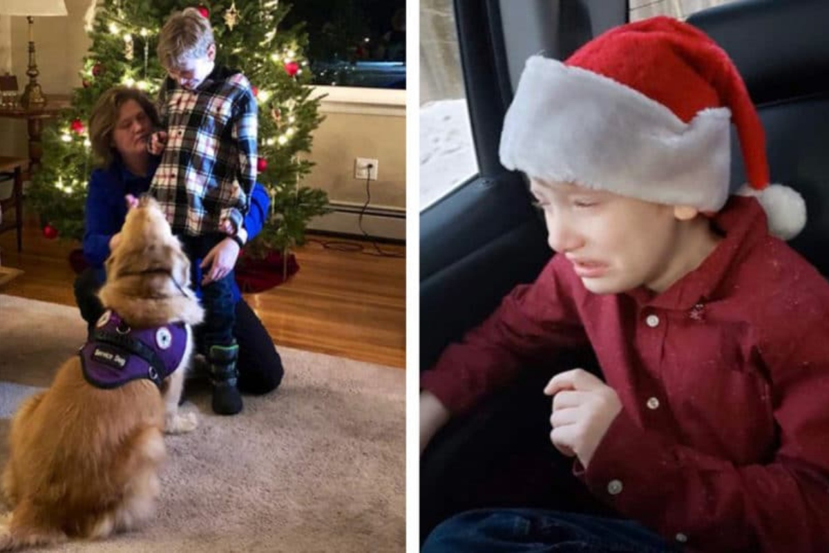 Un dipendente del negozio vieta al bimbo con il cane di servizio, di fare la foto con Babbo Natale. Cos’è accaduto a questa famiglia