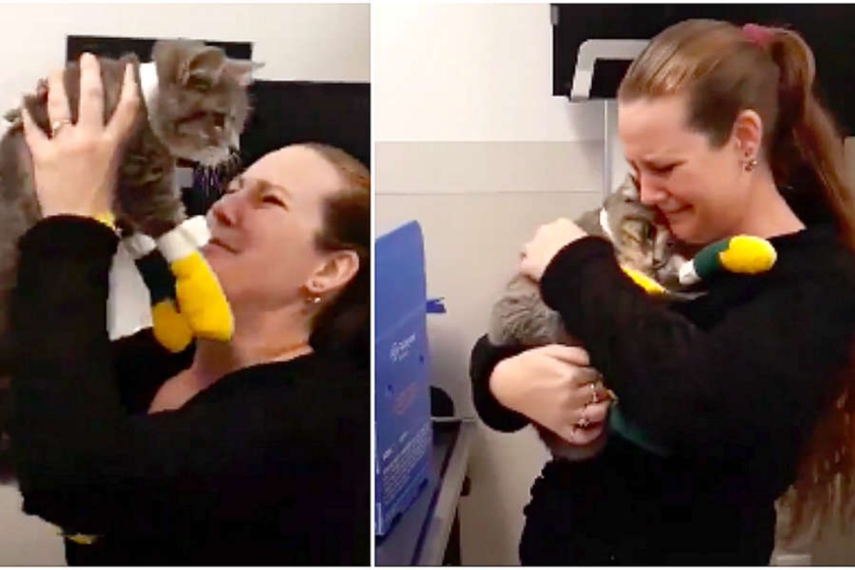 Famiglia per fuggire dall’incendio non riesce a prendere il loro gatto e pochi giorni dopo scoprono cosa gli era capitato