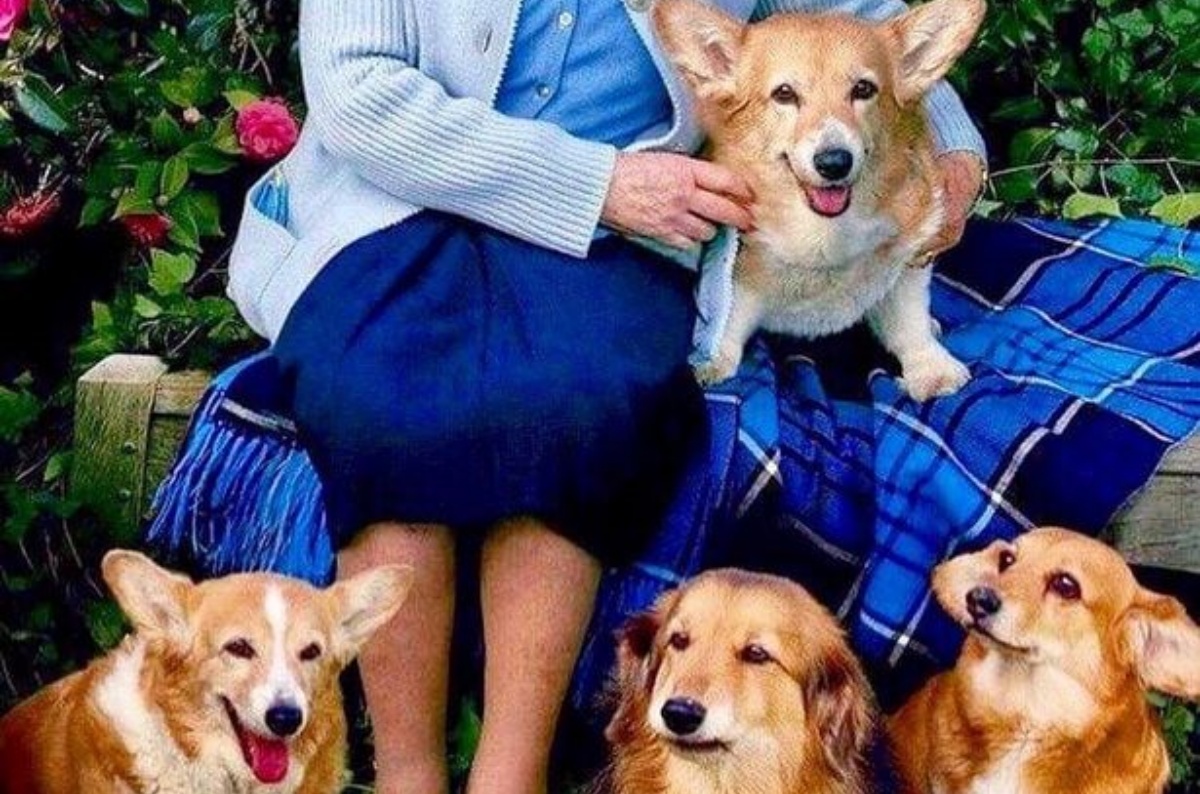 Morto Vulcan, il cane della Regina Elisabetta