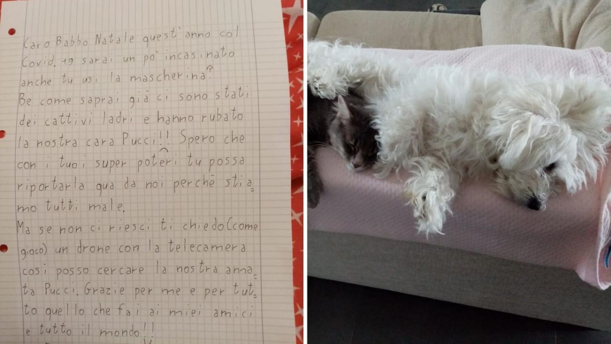 Ladri entrano in casa e portano via il cane. Il bambino di 10 anni scrive a Babbo Natale