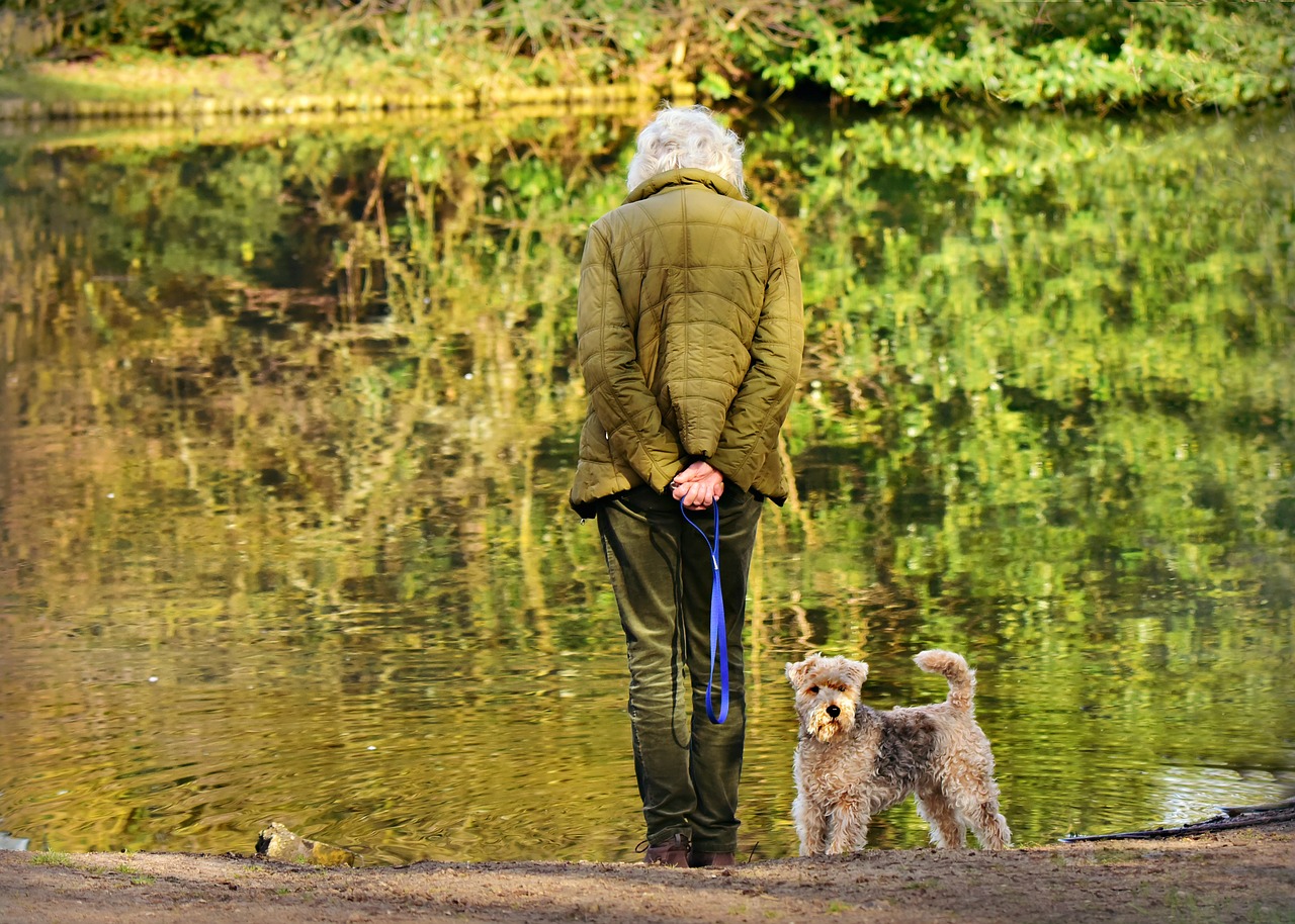 Anziana senzatetto e il suo cane