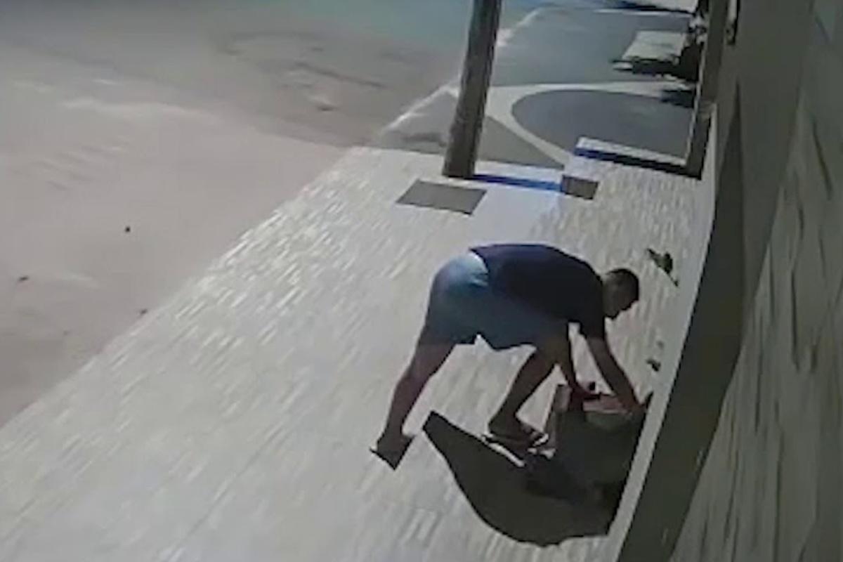 “Ho visto tutto quello che il ragazzo ha fatto al randagio, tramite i filmati di sorveglianza. Tutti devono vederlo!”