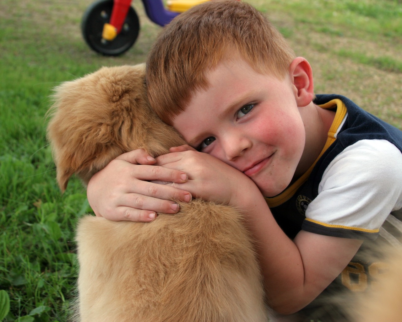 Regalano un cane a un bimbo autistico e poco dopo il cucciolo compie un vero miracolo