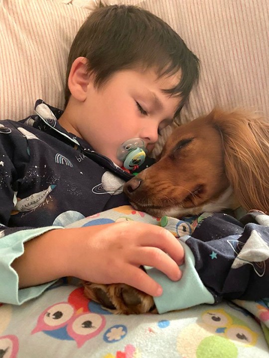 Il bambino dorme con il cane