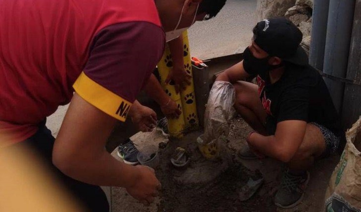 I randagi della città di Lima