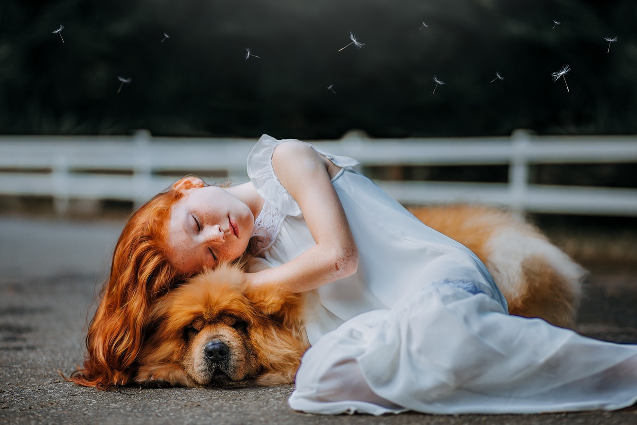 Spiegare ai bambini la morte del cane: come farlo senza traumi