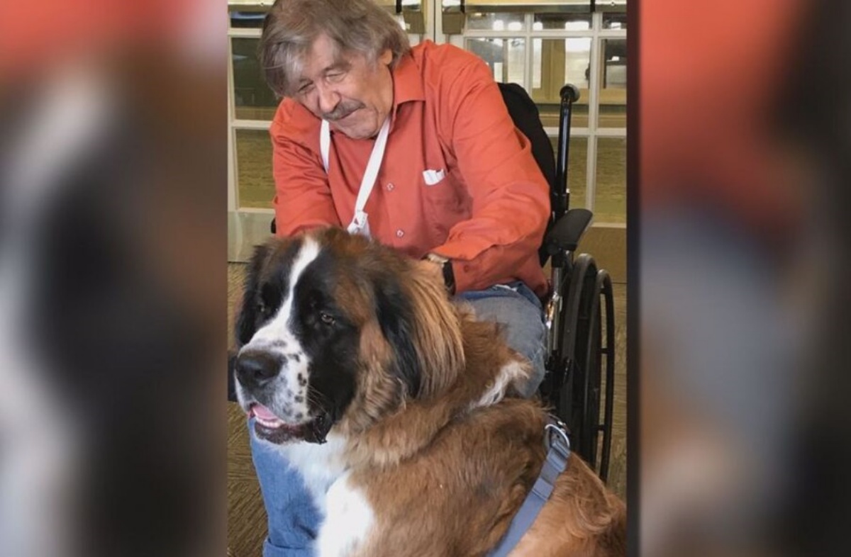 Sully, il cane di servizio rende felice un paziente