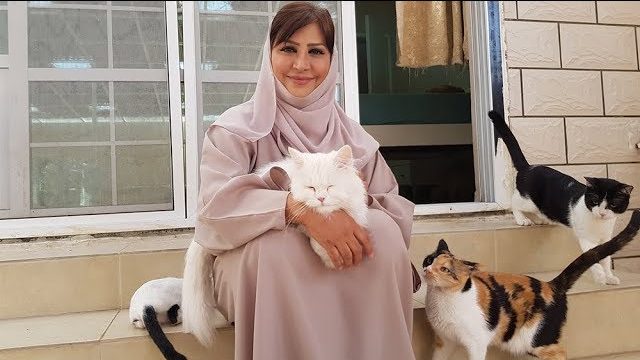 Maryam al-Balushi e i suoi gatti