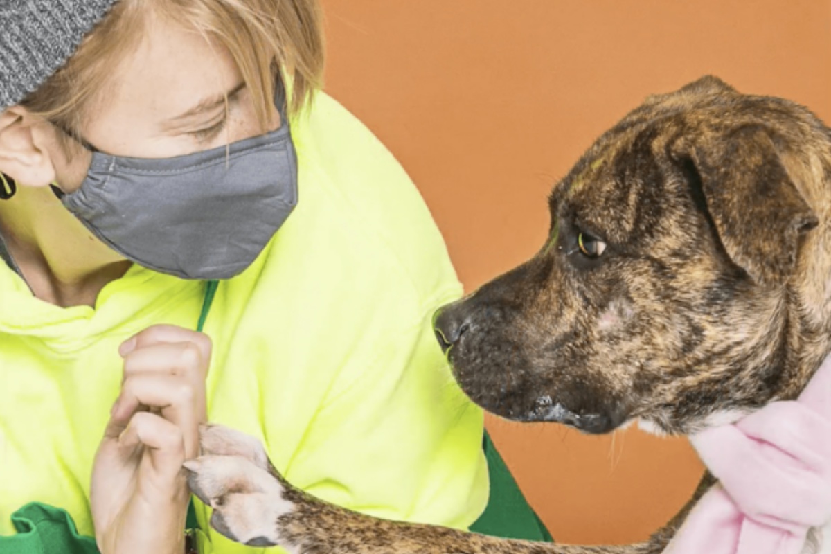 “Mi ero rassegnato e stavo cercando un altro cane da adottare. Poi ho acceso il computer e…”