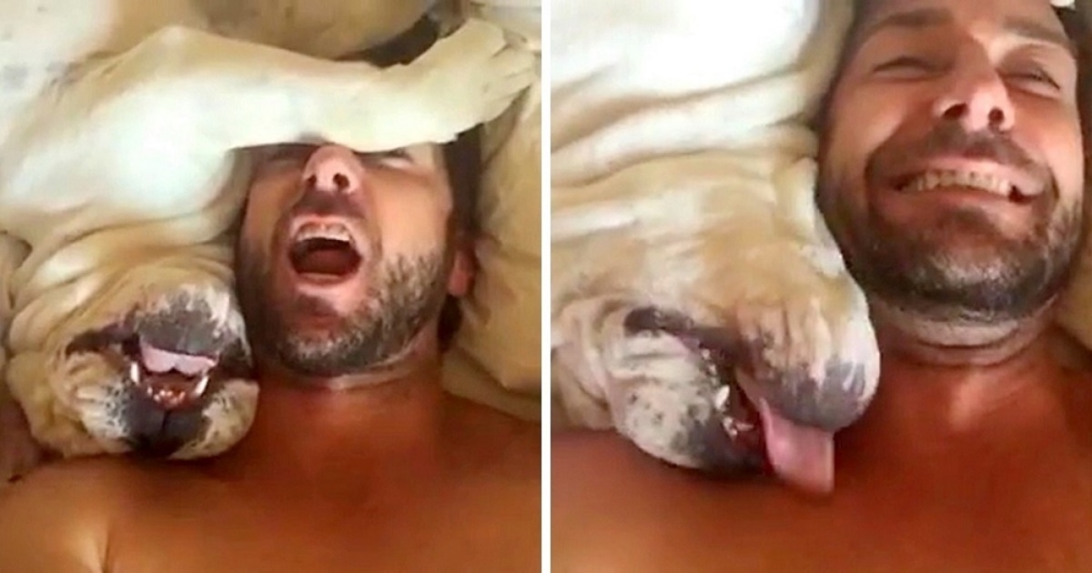 Papà cerca di svegliare il suo cane, ma lui inizia a protestare molto molto rumorosamente! Il video è esilarante!