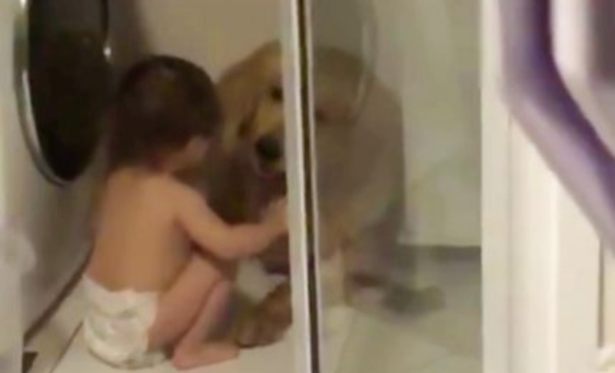 Il video del Golden Retriever e del bambino