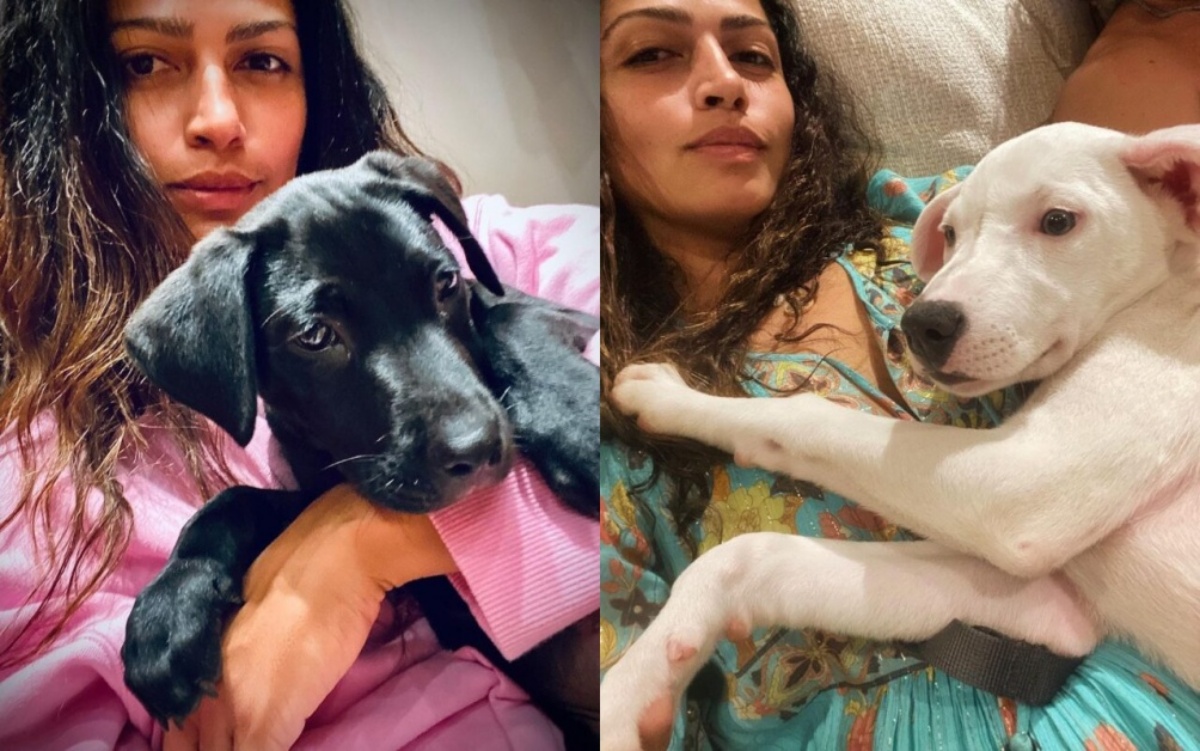 Il famoso attore e sua moglie intervengono in aiuto di due cani bisognosi: le tenere immagini su Instagram