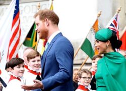 Meghan Markle Harry foto