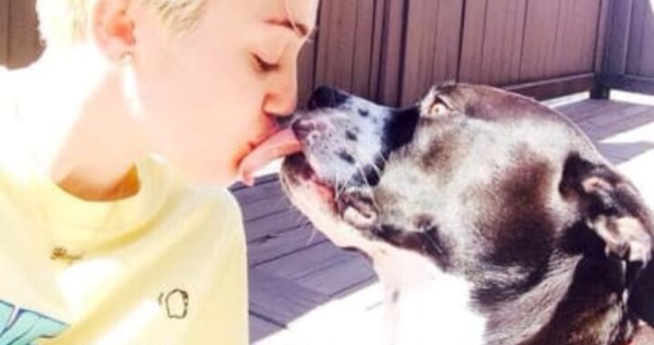 Miley Cyrus piange la sua cagnolina Mary Jane