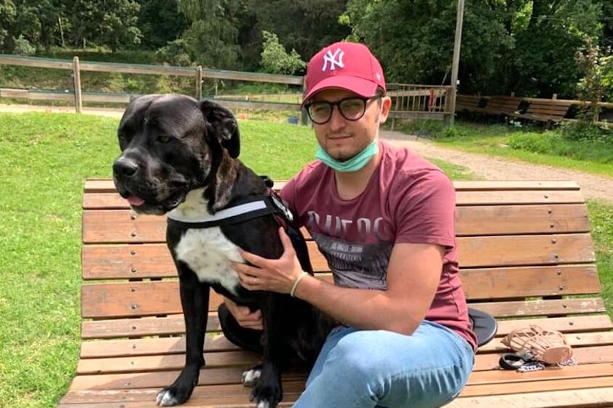 Multa di 400 euro mentre si trova con il suo cane: ecco quale sarebbe stata l’infrazione di questo ragazzo