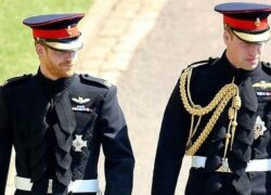 Principe Harry e William