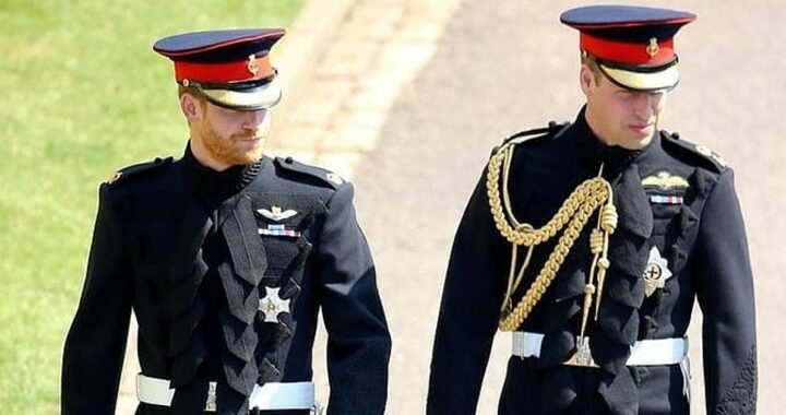 Principe Harry e William