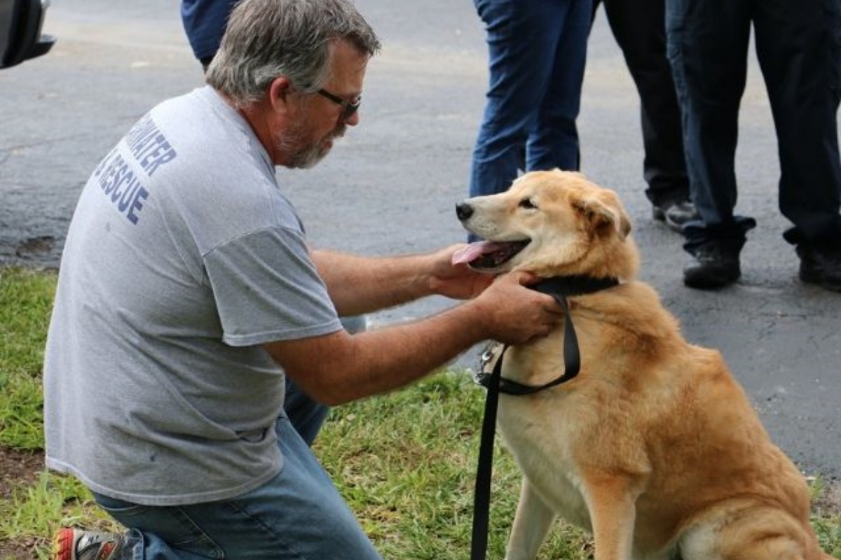 Addio ad un altro cane eroe. La sua famiglia ha deciso di farlo addormentare. L’ultimo commovente gesto dei suoi colleghi pompieri