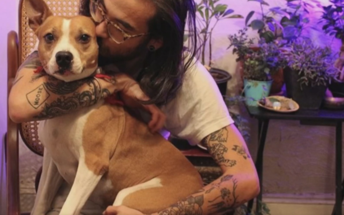 Hanno preteso il cane indietro perché di loro proprietà, ma lui l’ha amato per anni. La vicenda finisce in tribunale. Ecco cos’è accaduto