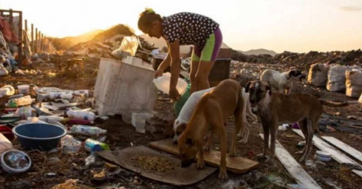 La donna è stata vista più volte avvicinandosi agli animali randagi nella discarica. Cosa faceva