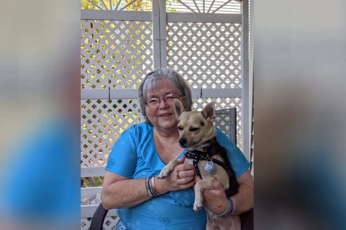 Buddy il cane abbandonato dopo la scoperta della malattia della sua amica umana