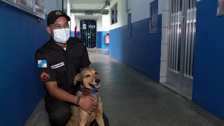 Il randagio di nome Cabo Oliveria