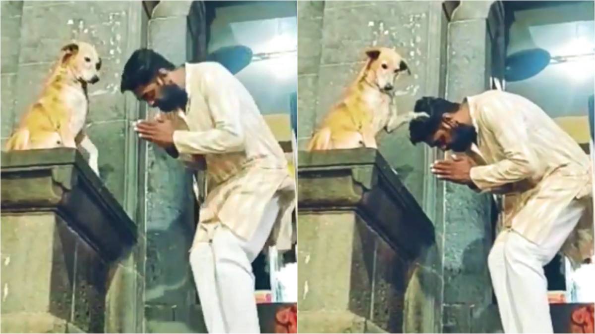 Il cane benedice e saluta i fedeli all’entrata nel tempio, il video
