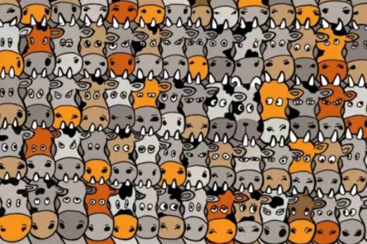 Riesci a trovare il cane nascosto tra le mucche?