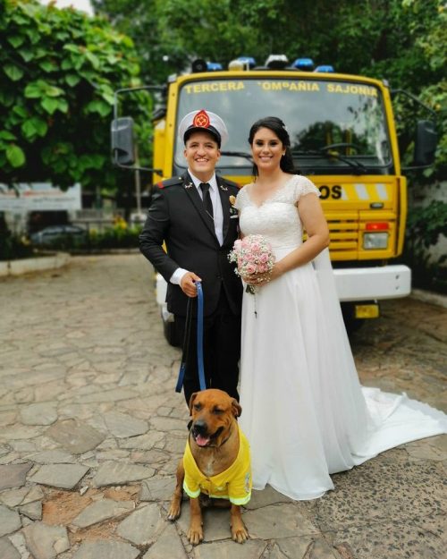 Ouro Tercerino al matrimonio