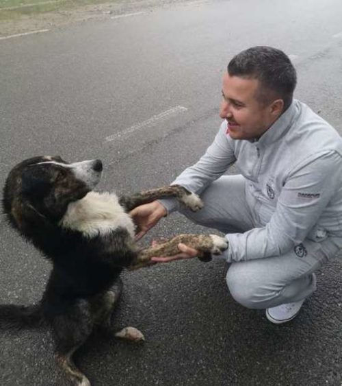 Cane adottato dopo il gesto eroico