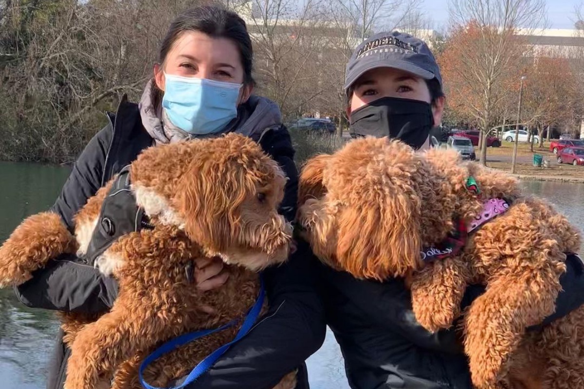 La riunione tra Dolly e Wally: erano sorelle e le loro amiche umane lo hanno capito poco dopo