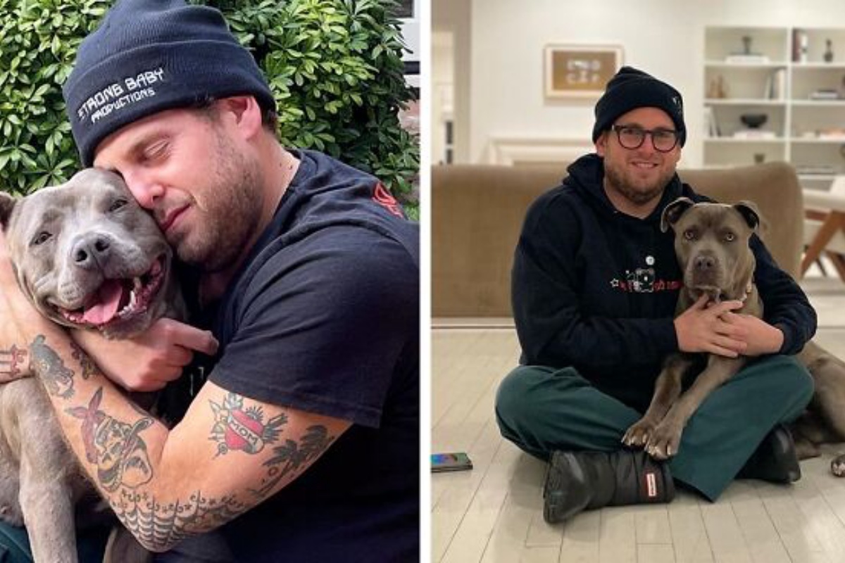 L’attore Jonah Hill ha deciso di adottare un nuovo amico a quattro zampe: ecco la storia