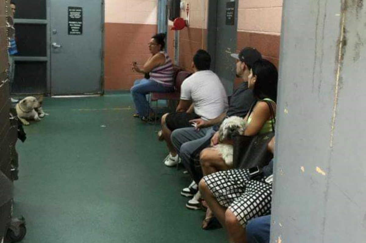 La foto di un rifugio di Miami